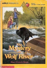 Mystery at Wolf River book cover