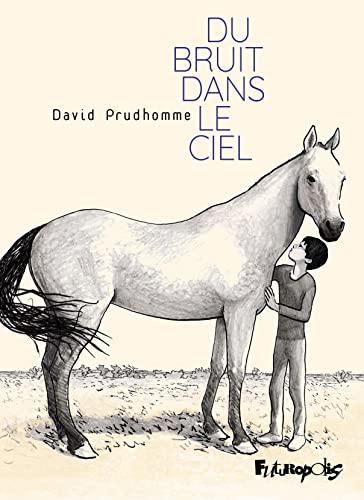 Du bruit dans le ciel book cover