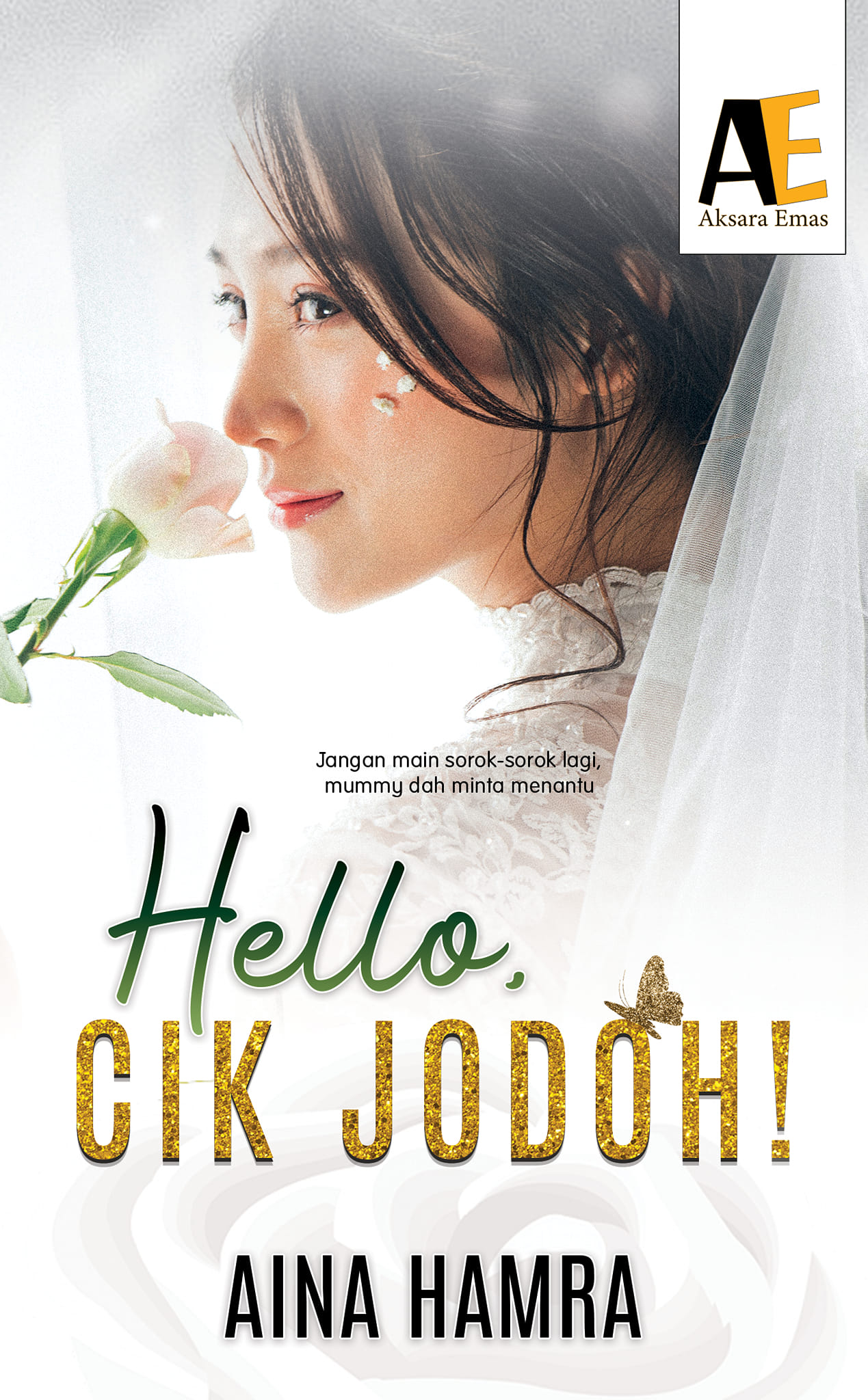 Hello,Cik Jodoh! book cover
