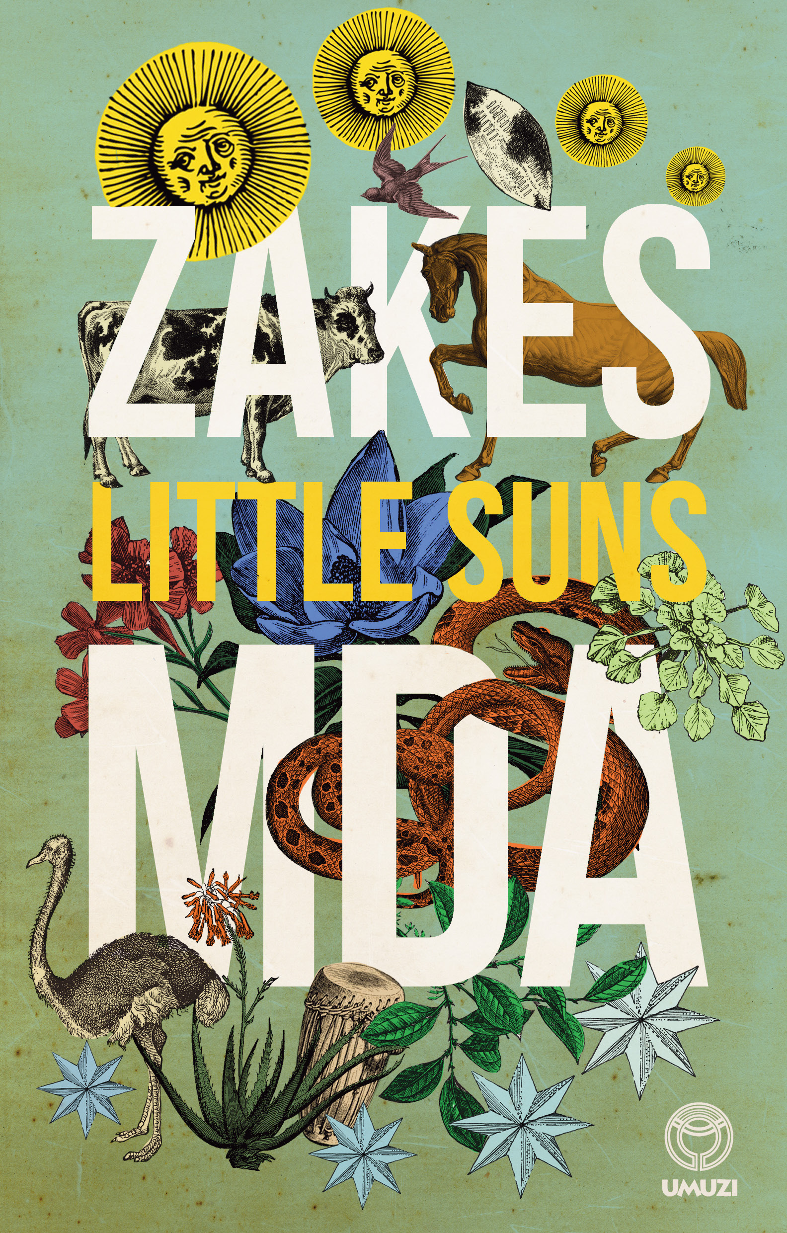 Little Suns book cover