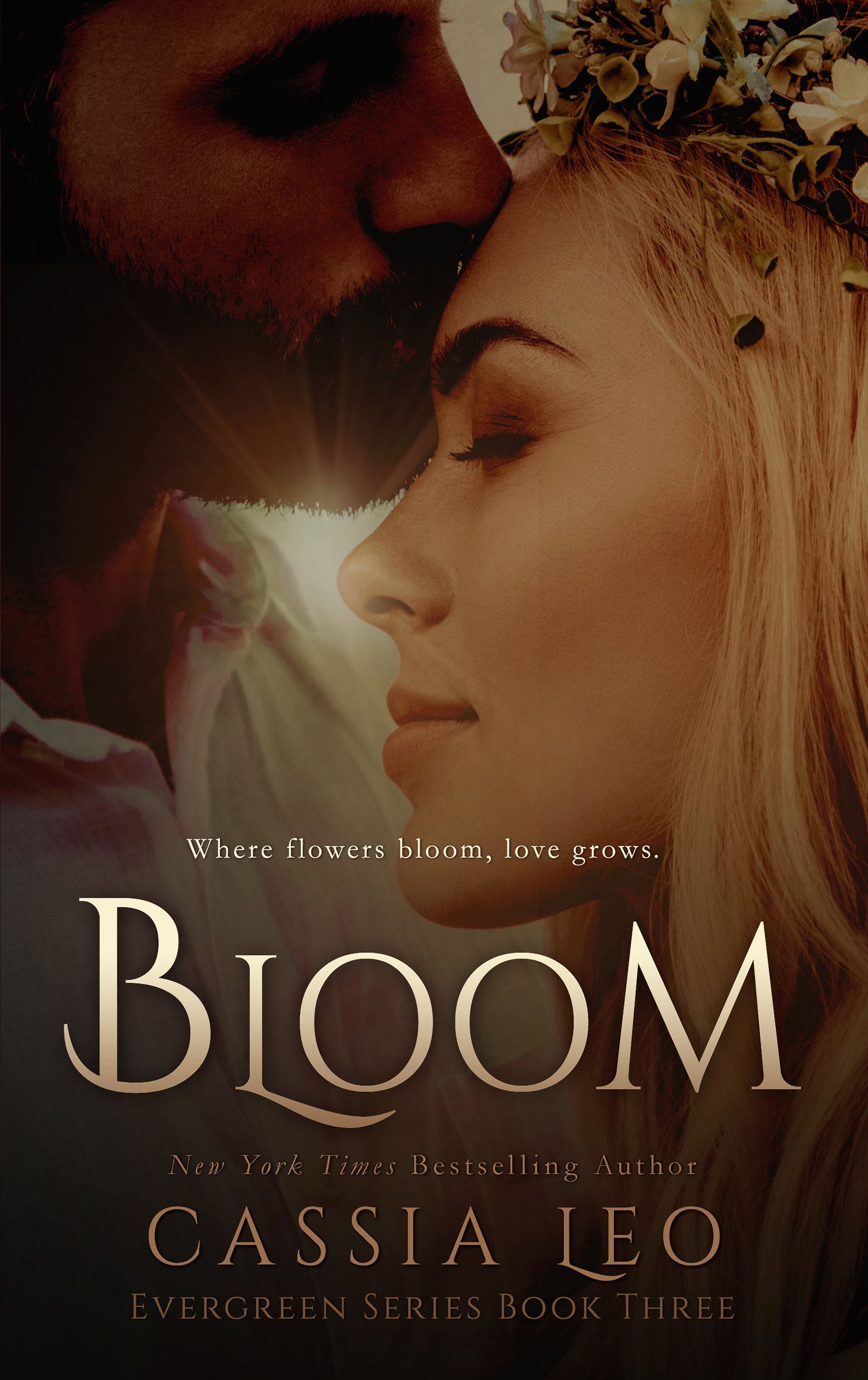 Bloom book cover