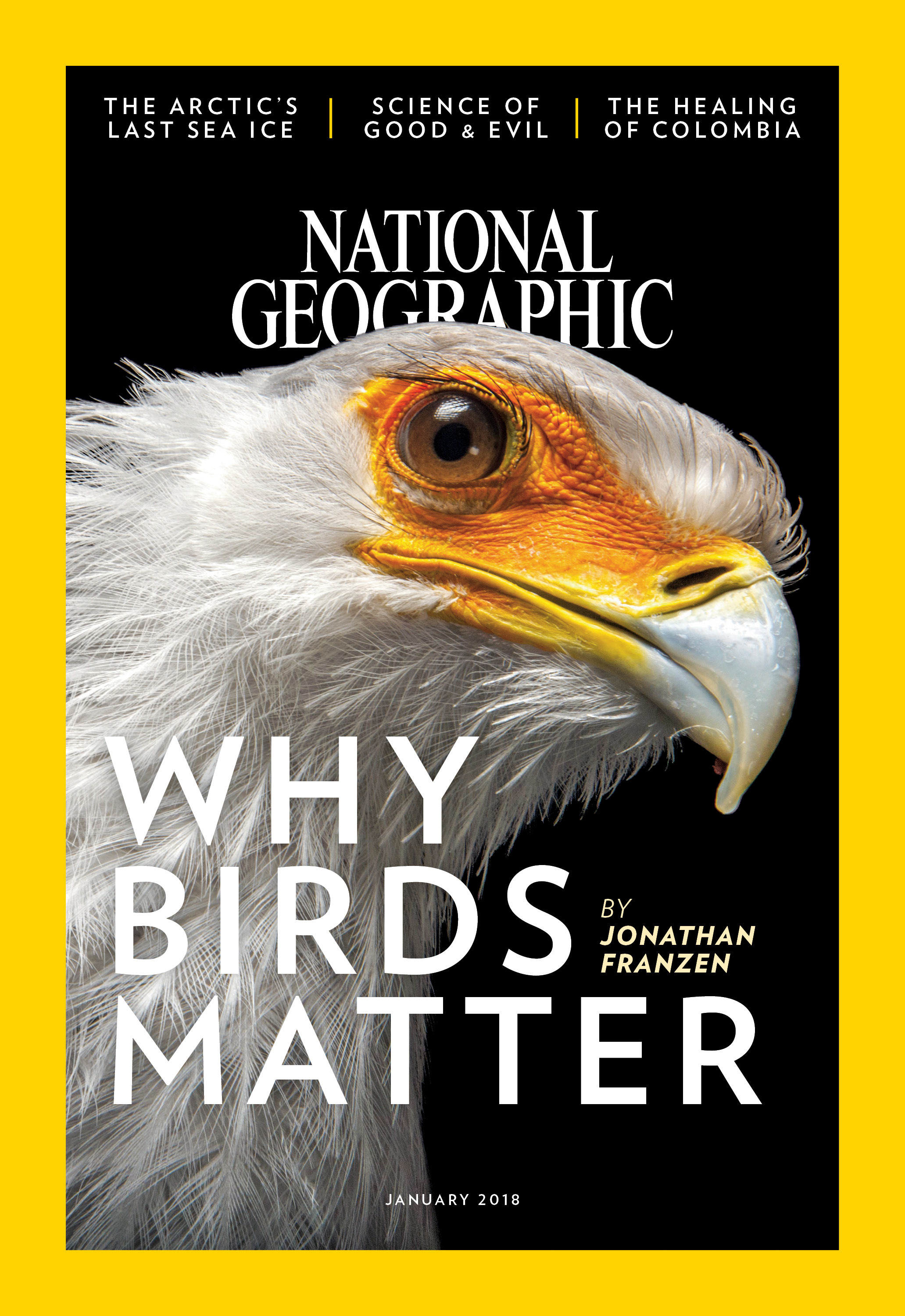 Why Birds Matter book cover