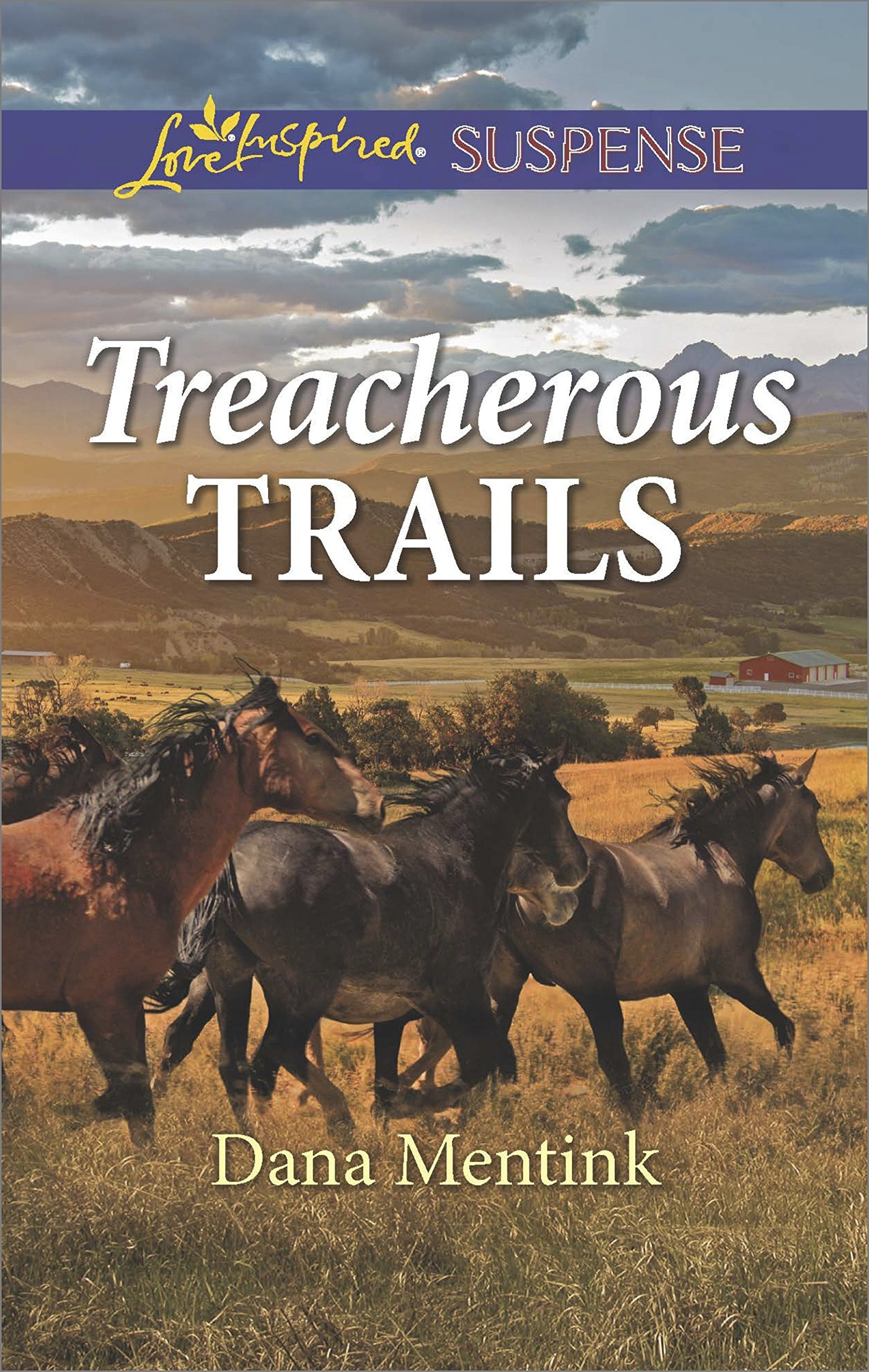 Gold Country Cowboys book cover 2
