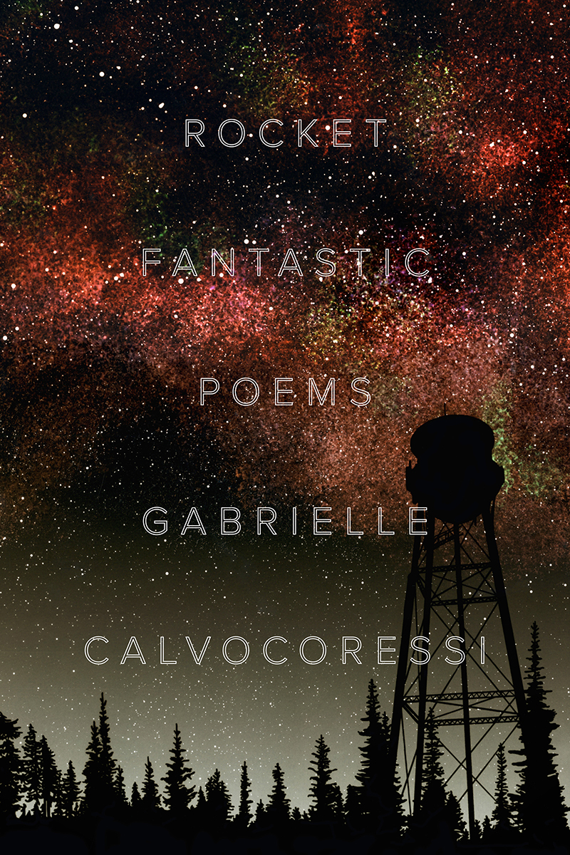 Rocket Fantastic book cover