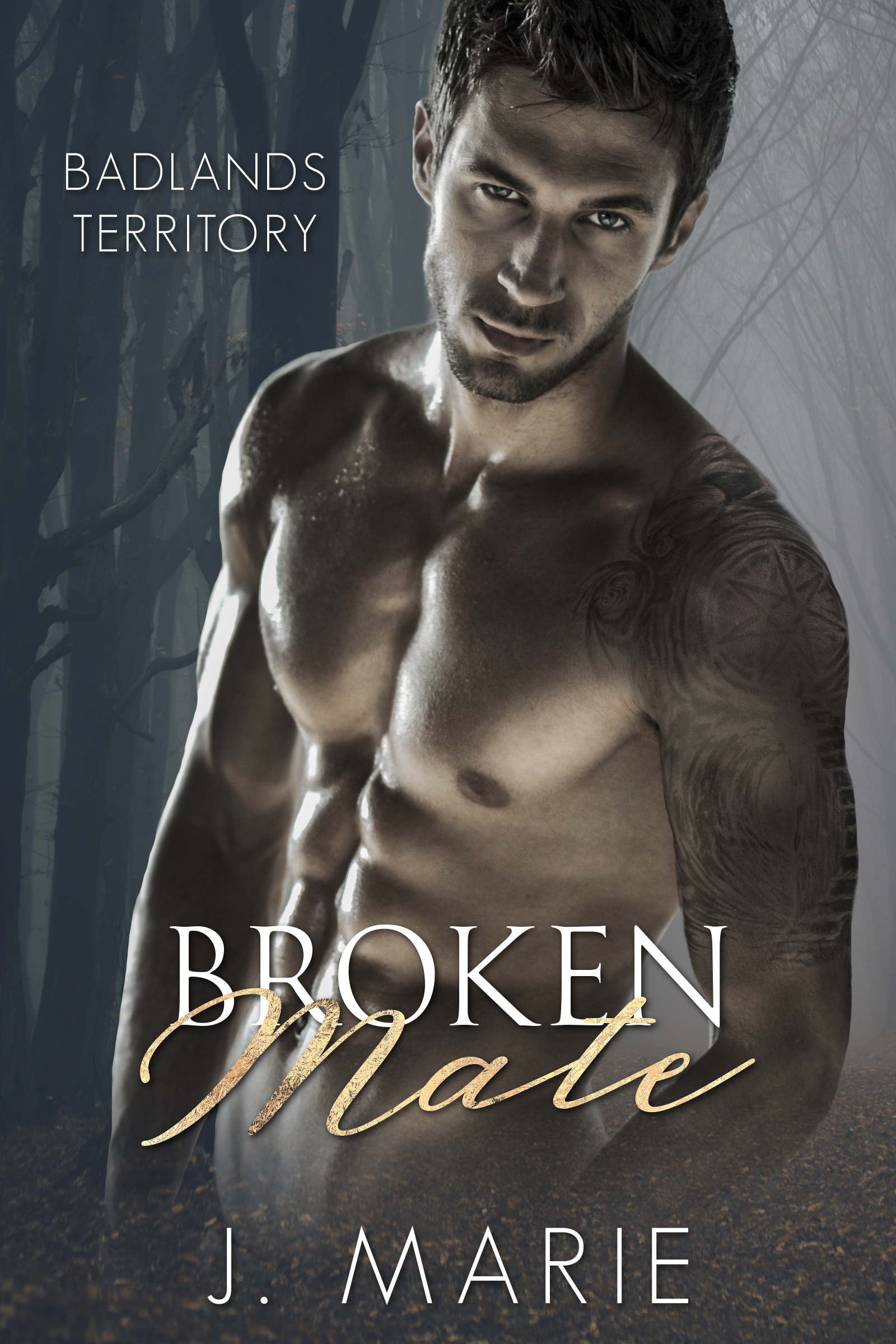 Broken Mate book cover
