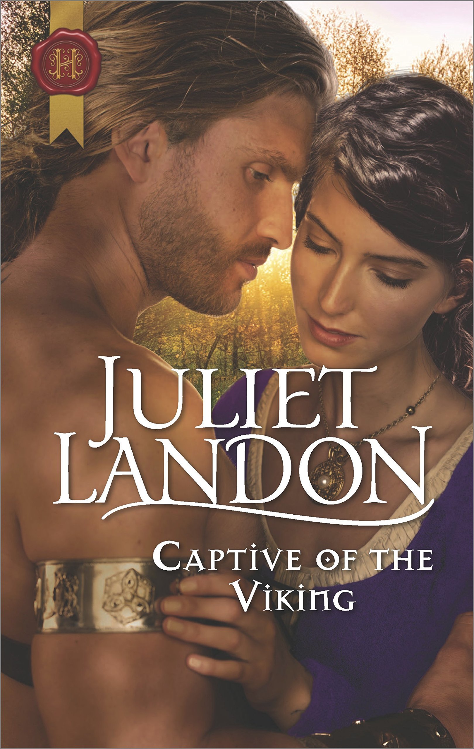 Captive of the Viking book cover
