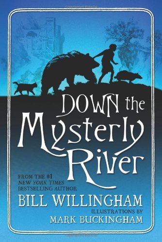 Down the Mysterly River book cover