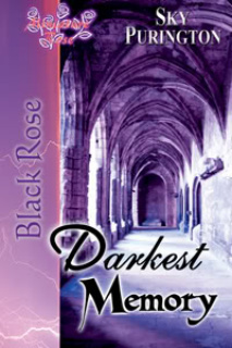 Darkest Memory book cover