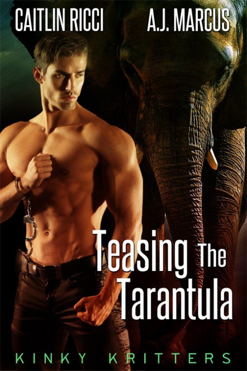 Teasing The Tarantula book cover