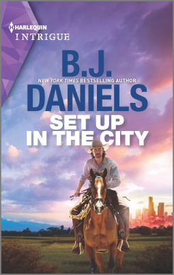 Set Up in the City book cover