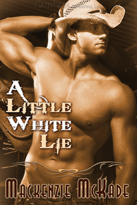A Little White Lie book cover