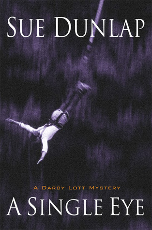 Darcy Lott book cover 1