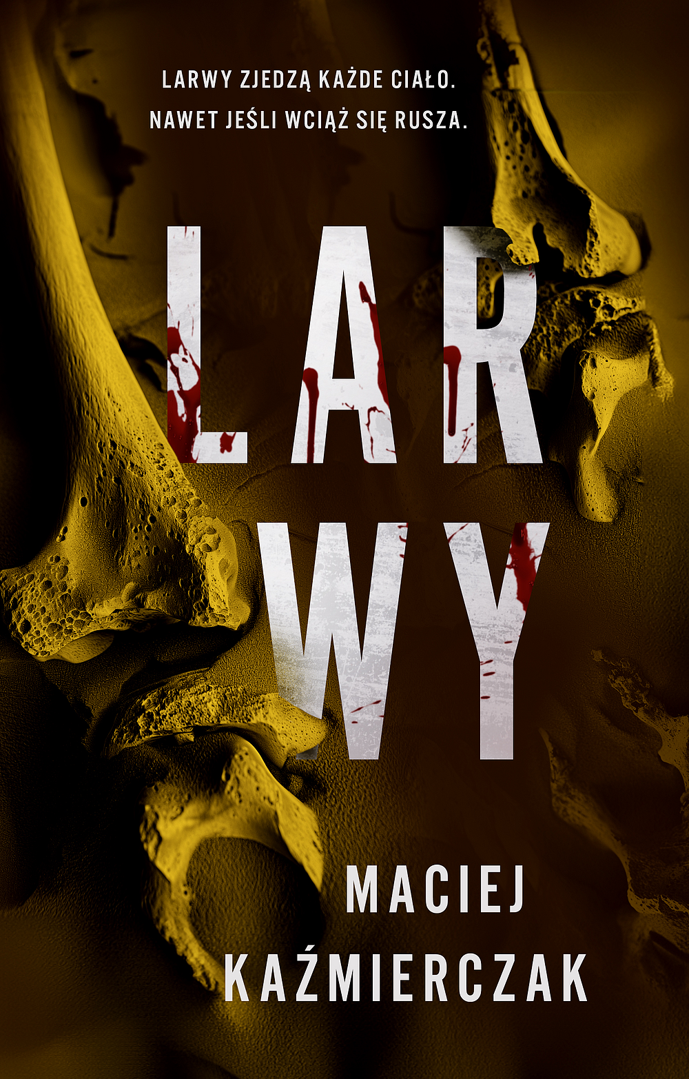 Larwy book cover