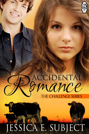 Accidental Romance book cover