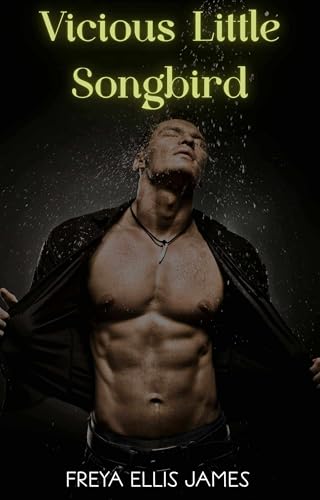 Vicious Little Songbird book cover