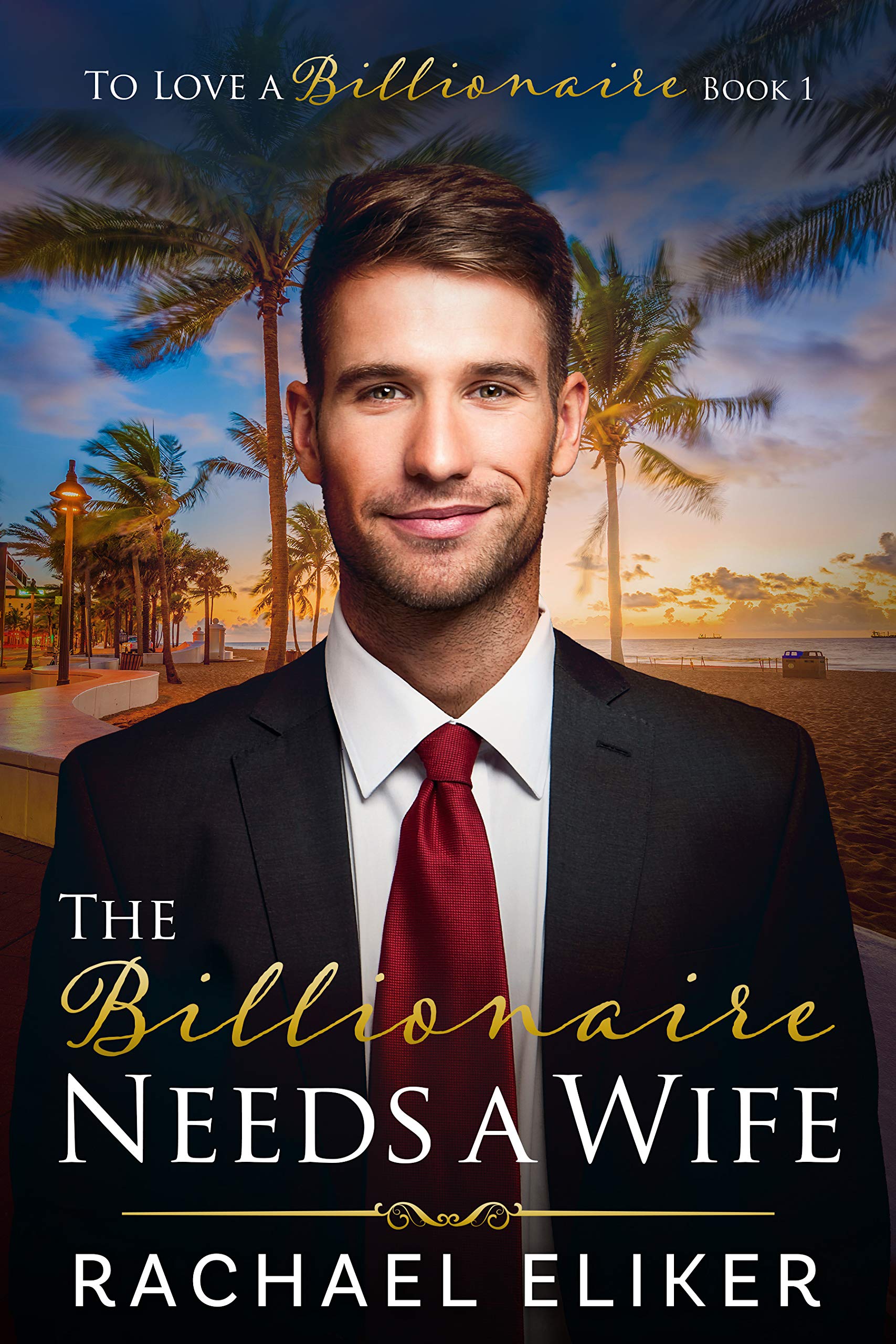 The Billionaire Needs a Wife book cover
