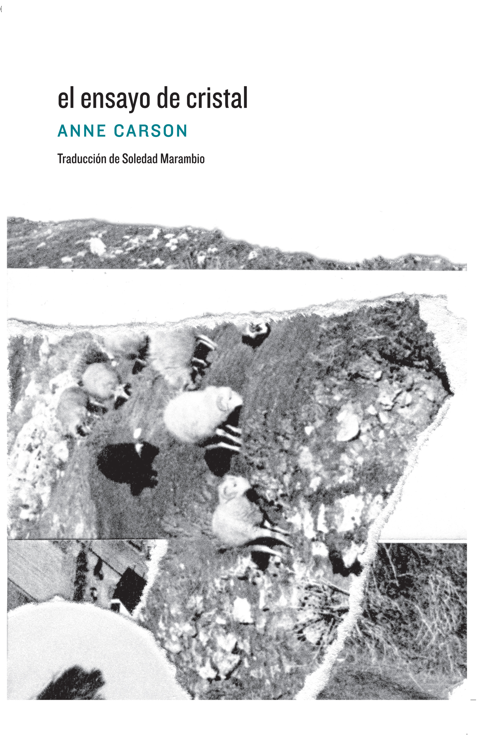 The Glass Essay book cover
