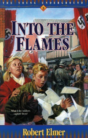 Into the Flames book cover