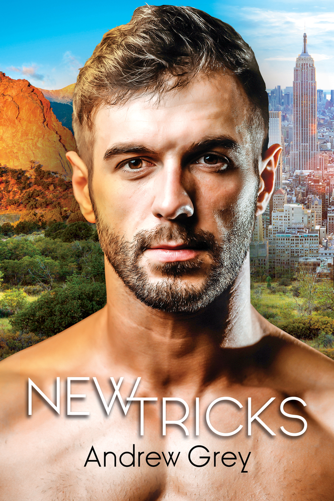 New Tricks book cover