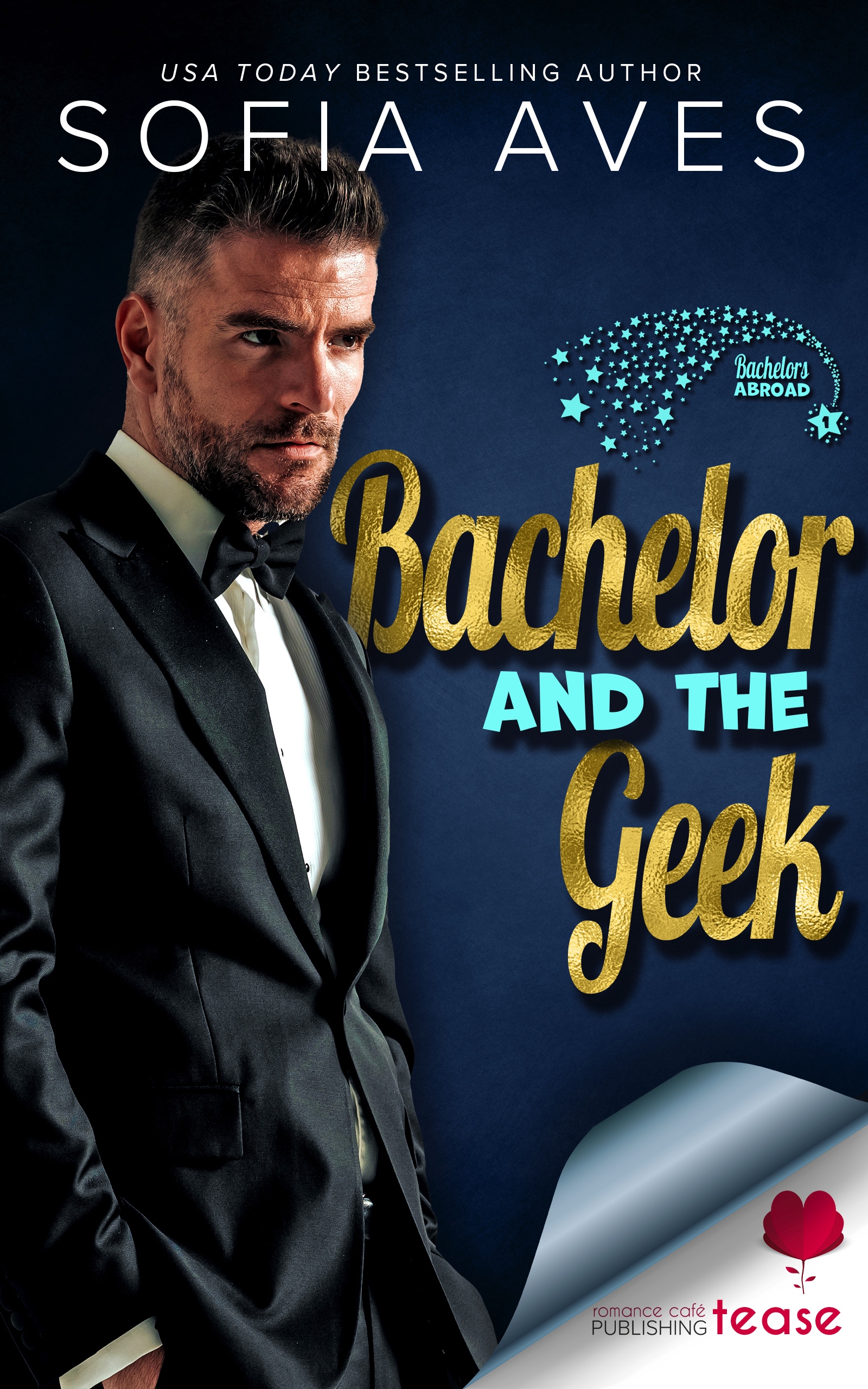 Bachelor and the Geek book cover