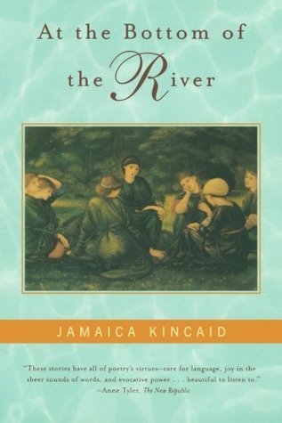 At the Bottom of the River book cover