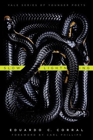 Slow Lightning (Volume 106) book cover