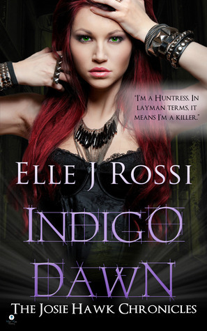 Josie Hawk Chronicles book cover 1