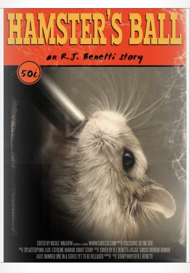 Hamsters Ball book cover
