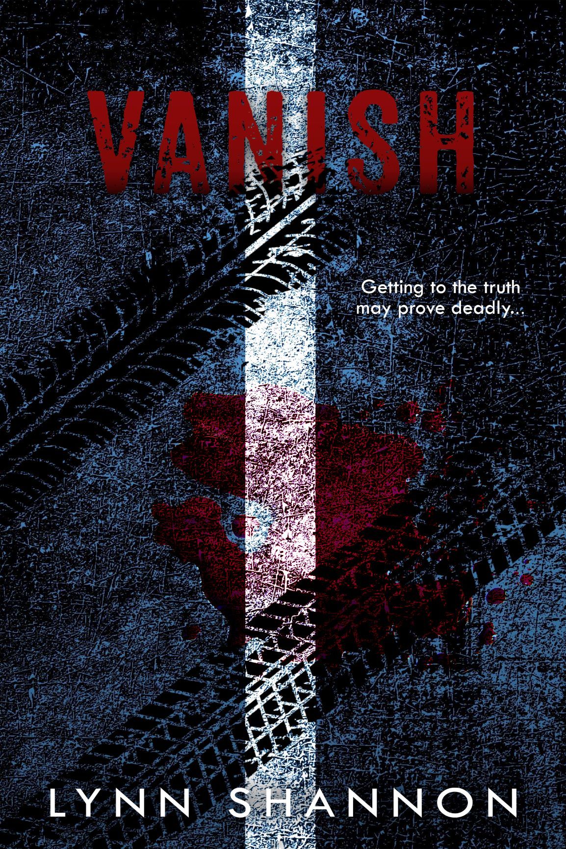 Vanish book cover