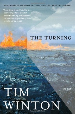 The Turning book cover
