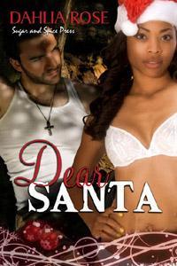 Dear Santa book cover