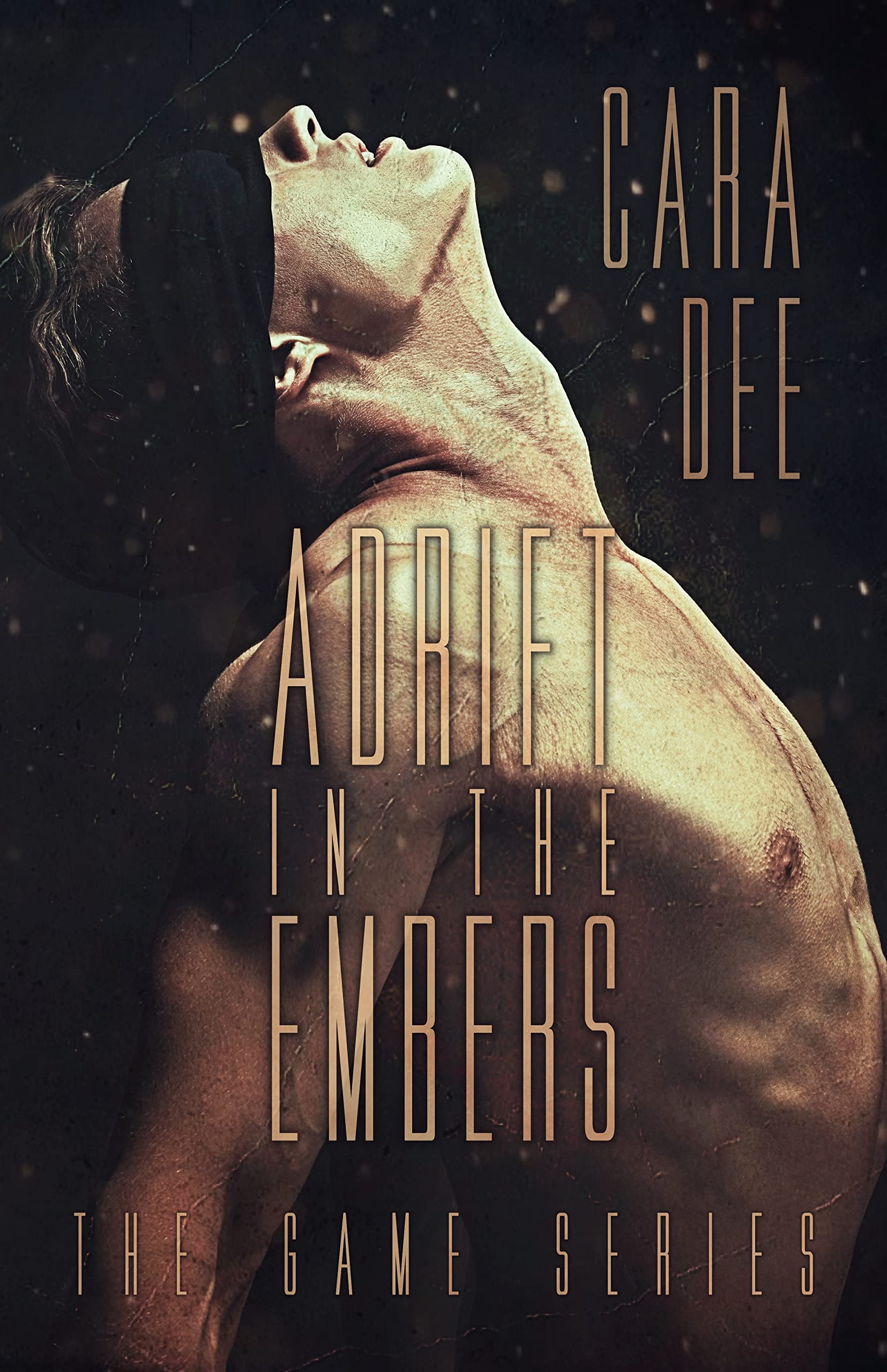 Adrift in the Embers book cover
