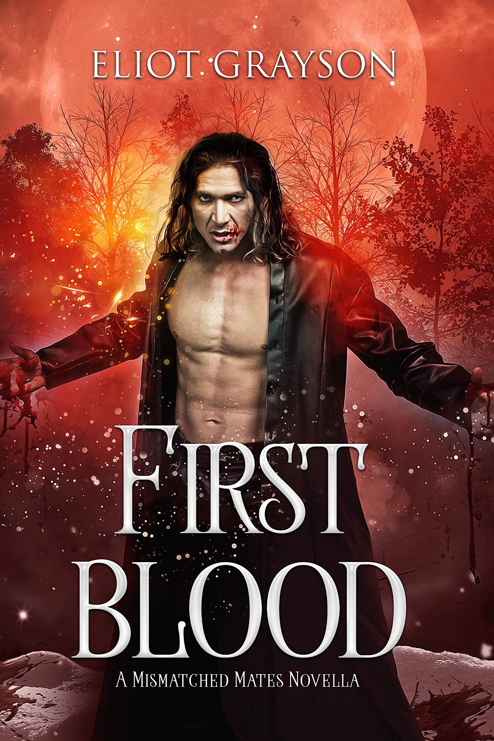 Blood Bonds book cover 1