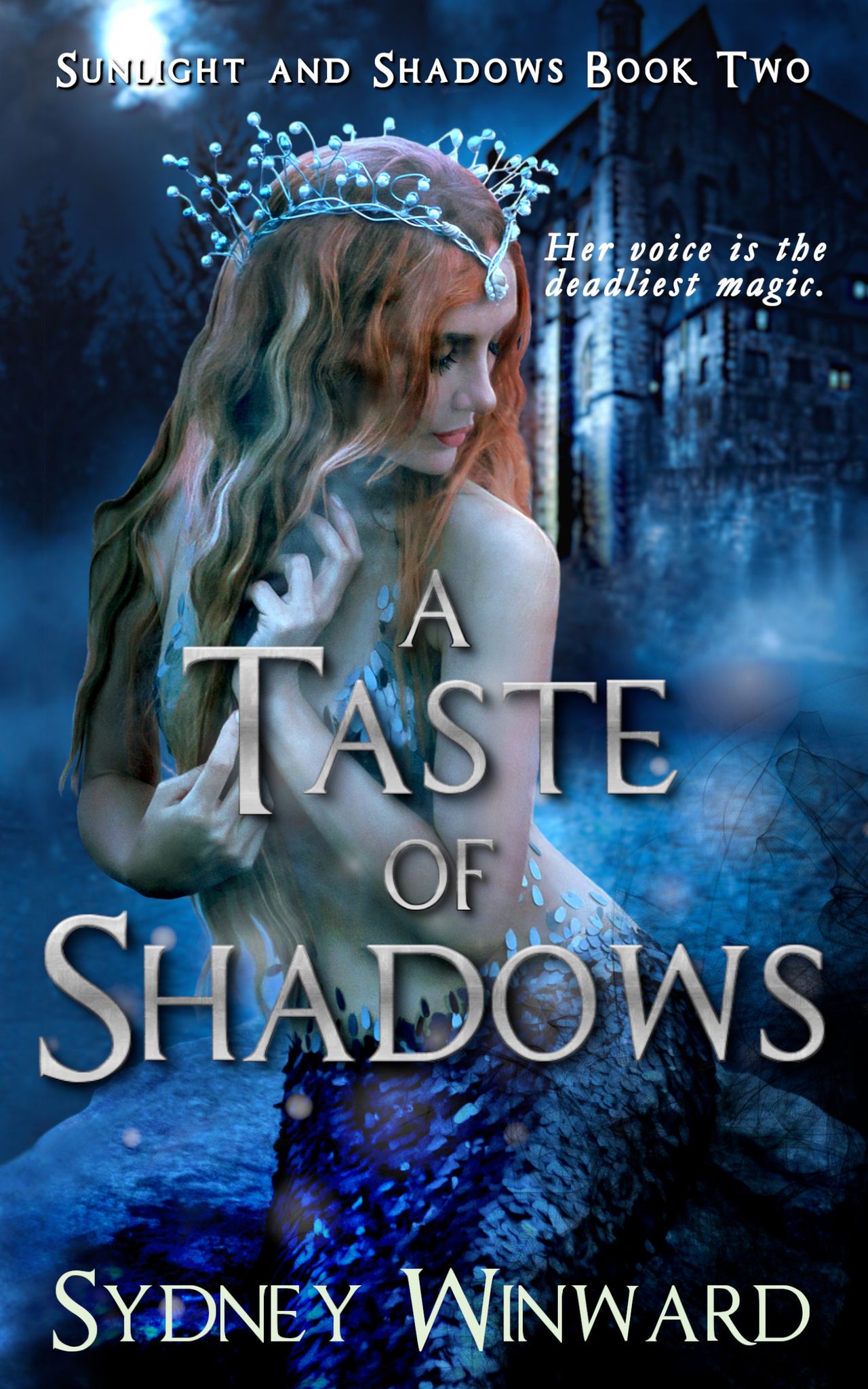 Sunlight and Shadows book cover 2