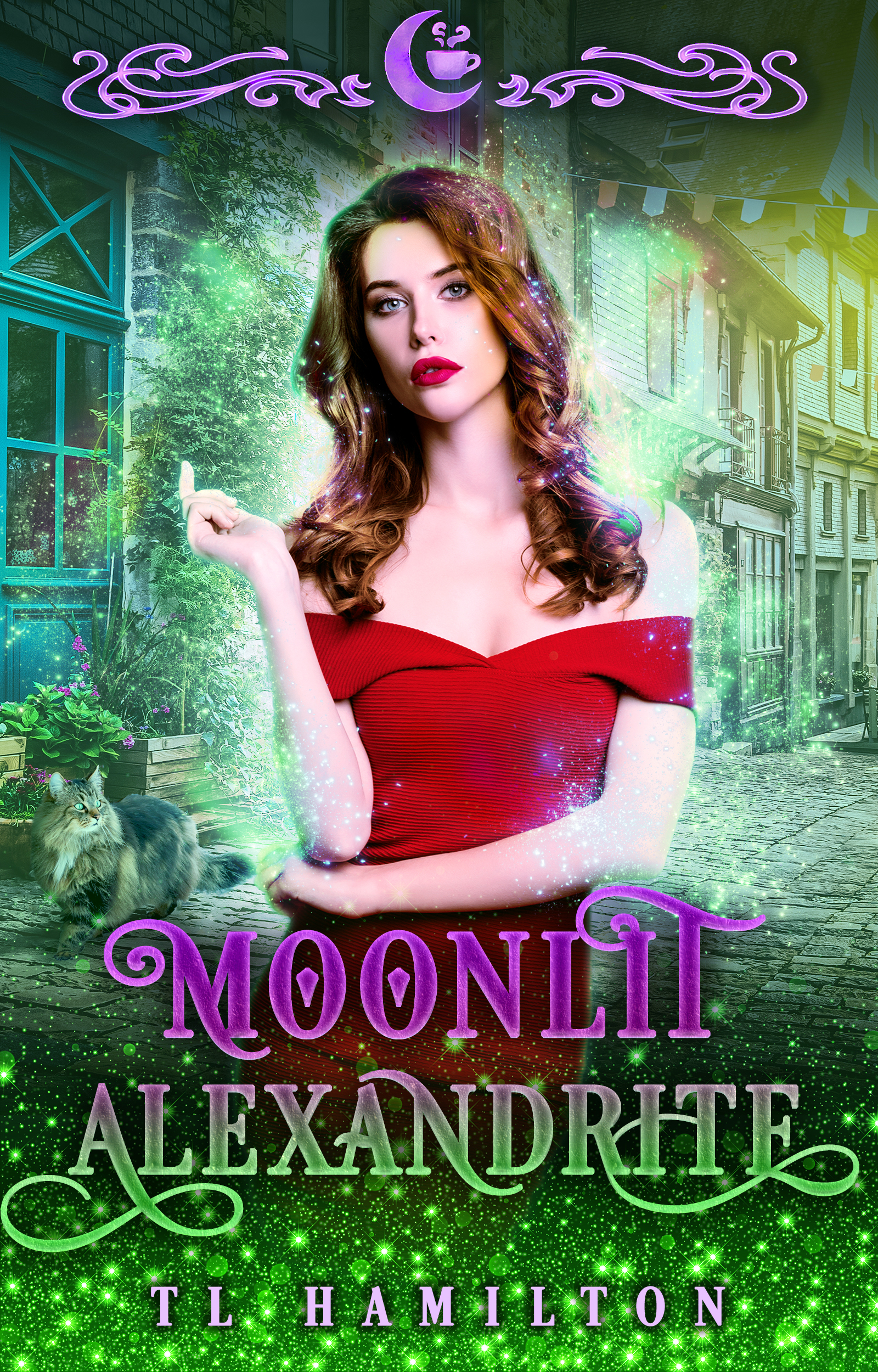 Moonlit Falls book cover 2