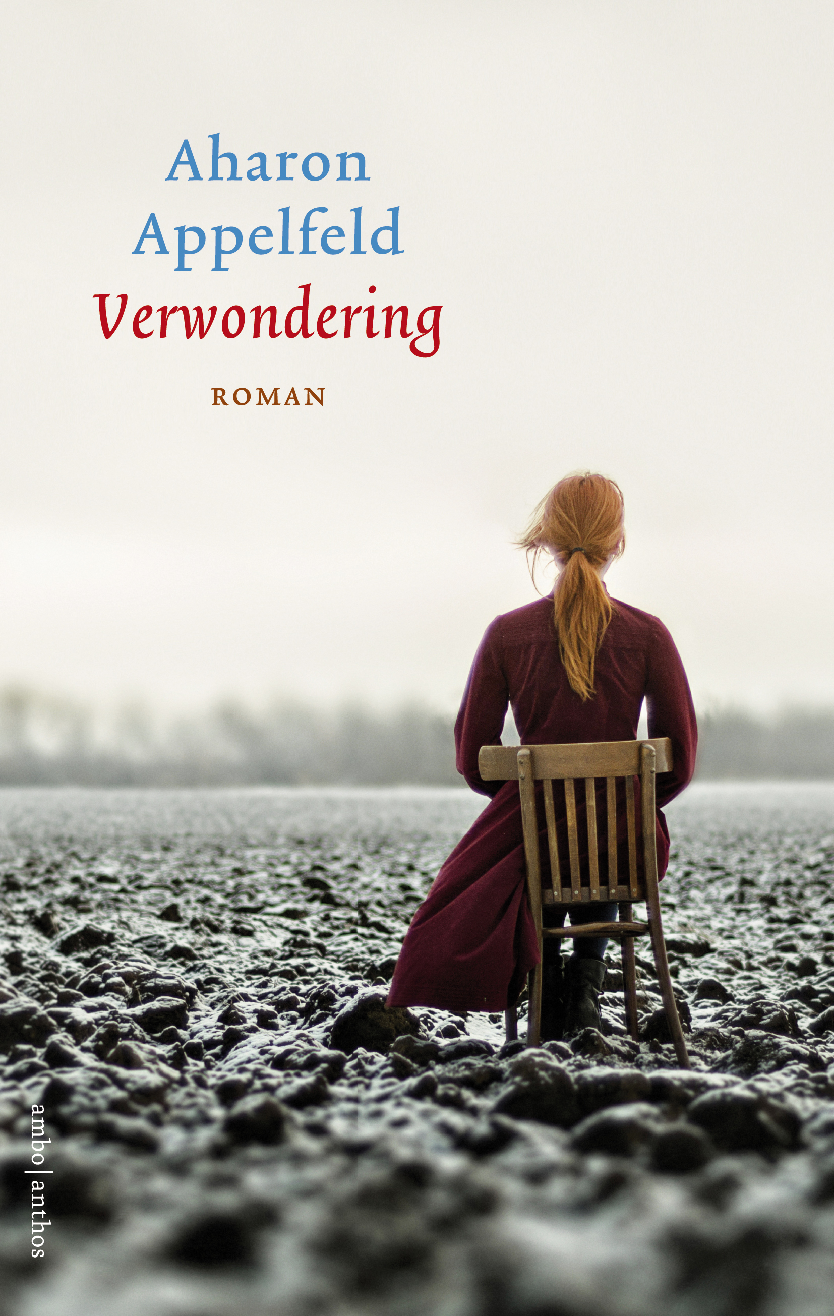 תימהון book cover