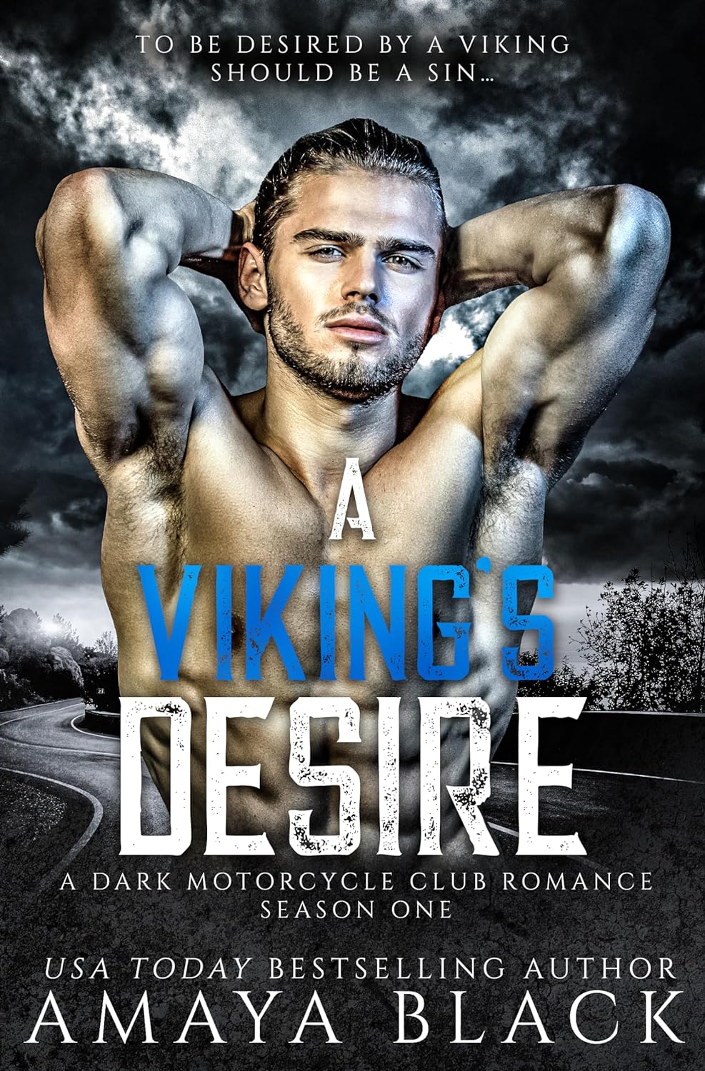 A Viking's Desire book cover