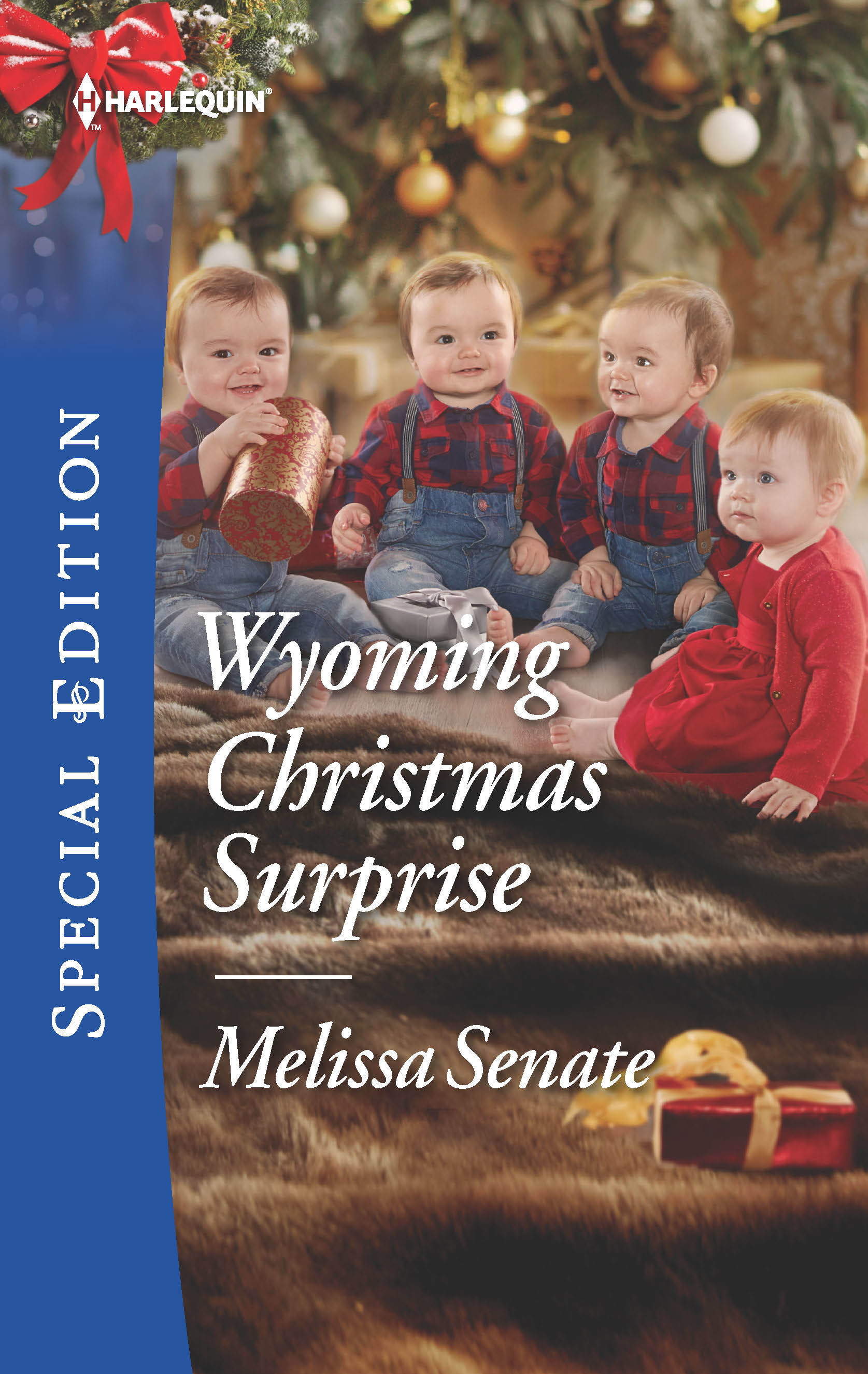 The Wyoming Multiples book cover 3