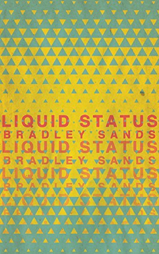Liquid Status book cover