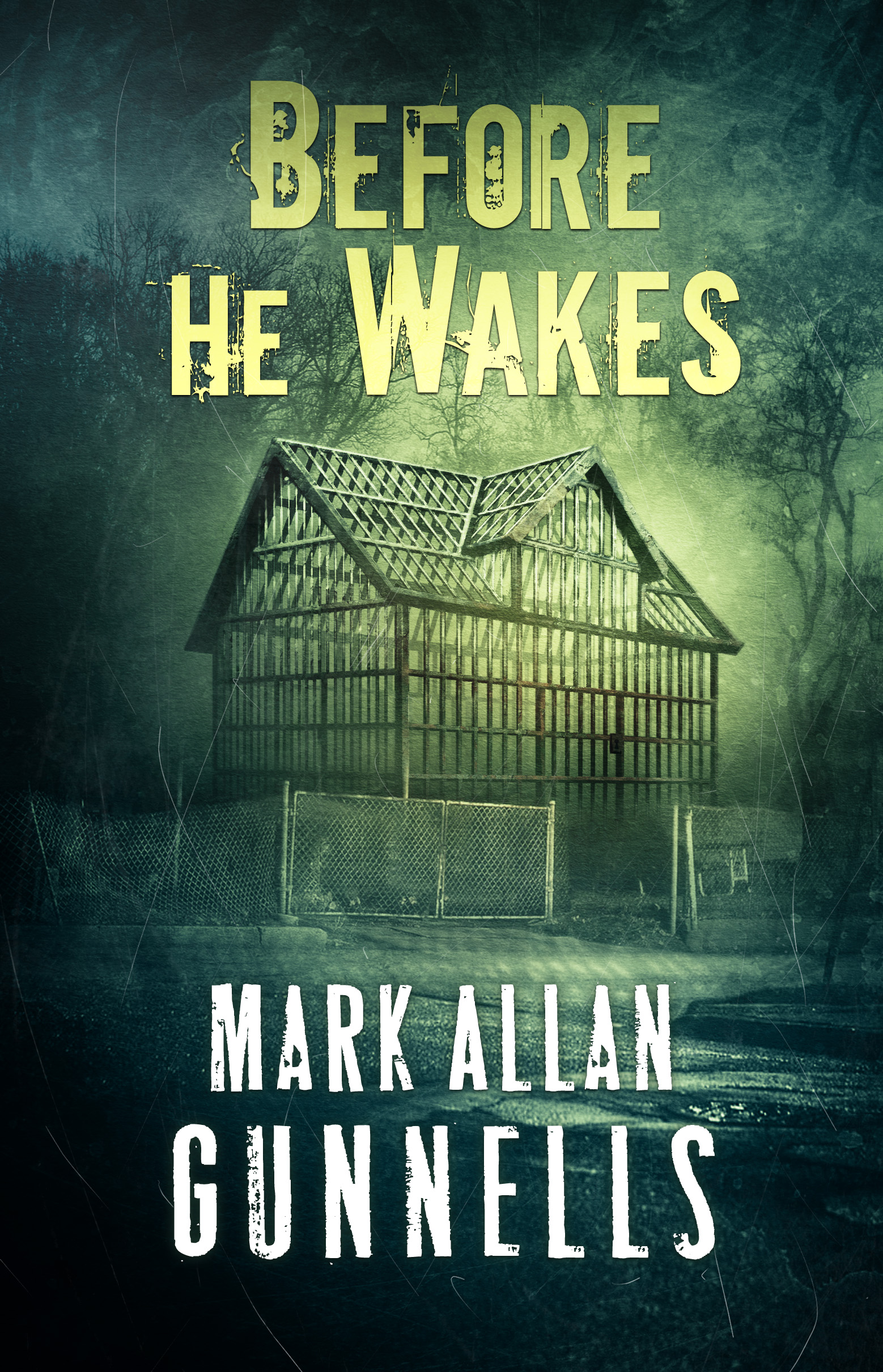 Before He Wakes book cover