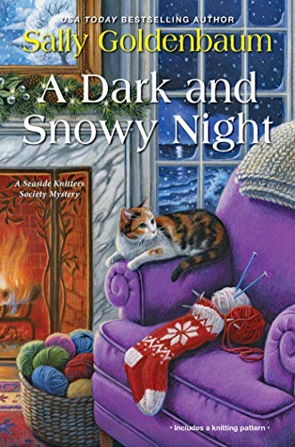 A Dark and Snowy Night book cover