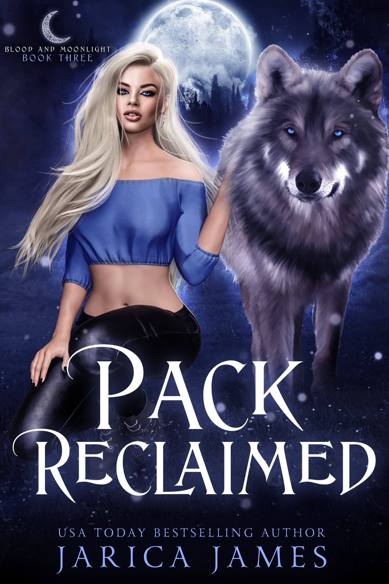 Blood and Moonlight book cover 2