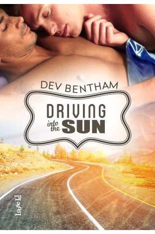 Driving into the Sun book cover