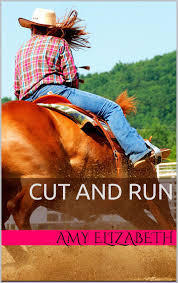 Aspen Eyes book cover 1