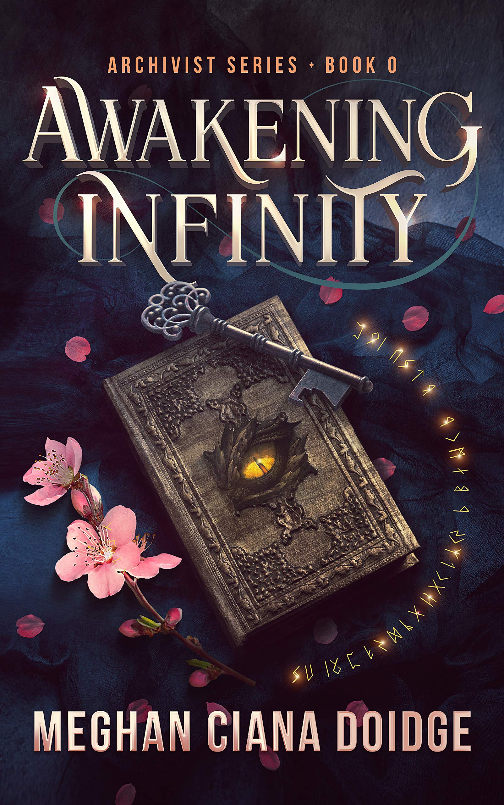 Archivist book cover 1