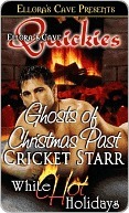 Hollywood After Dark book cover 2