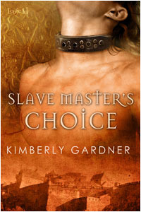 Slave Master's Choice book cover