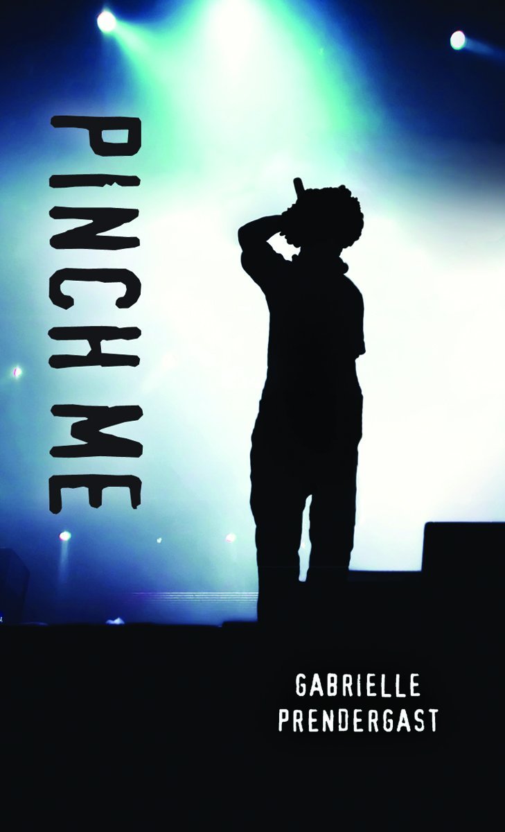 Pinch Me book cover