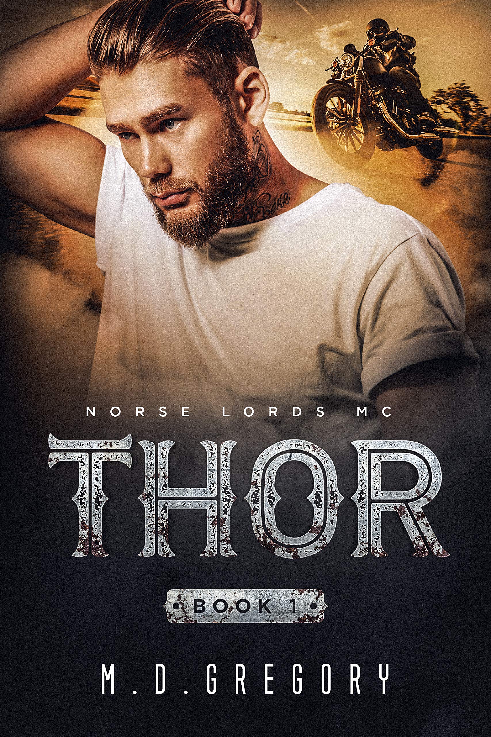 The Norse Lords MC book cover 1