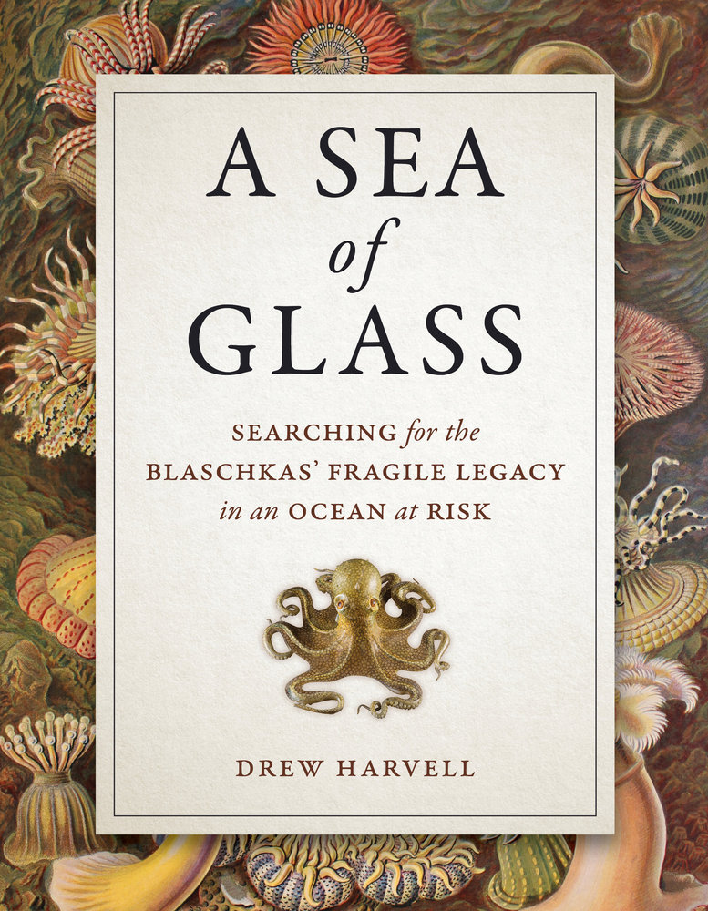A Sea of Glass book cover